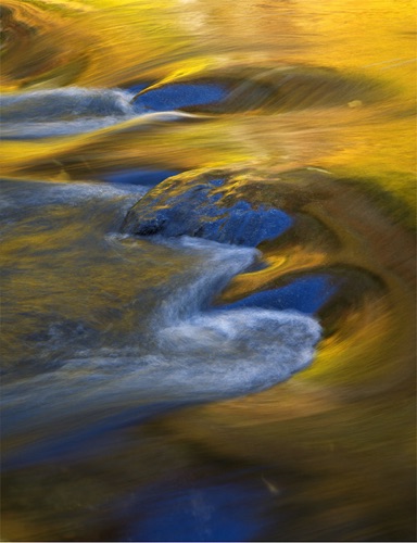 South Branch Raritan River, Hunterdon County, NJ (MF).jpg South Branch Raritan River, Hunterdon County, NJ (MF).jpg